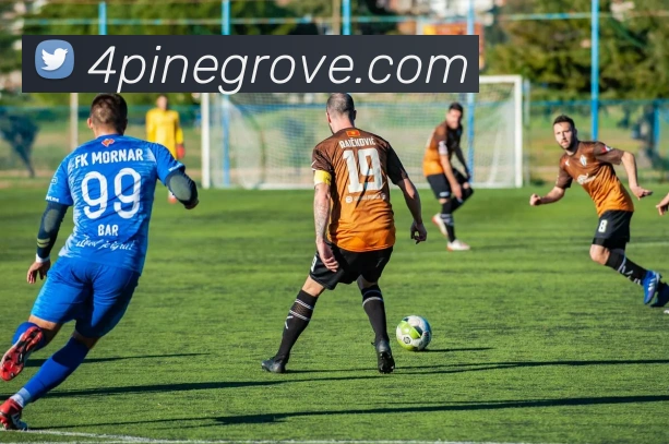完美体育平台入口官网全站App