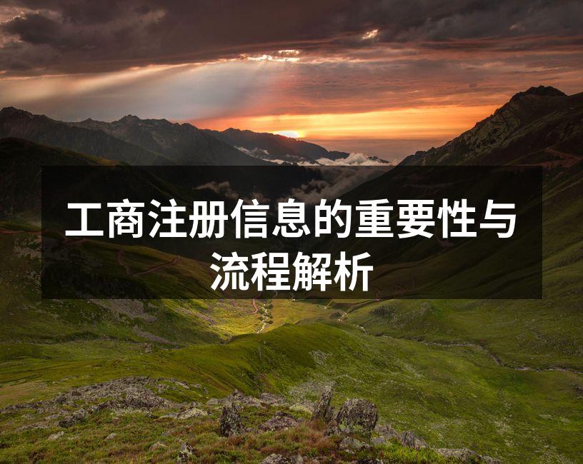 工商注册信息的重要性与流程解析