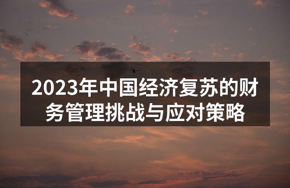 2023年中国经济复苏的财务管理挑战与应对策略