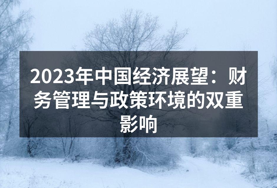 2023年中国经济展望：财务管理与政策环境的双重影响