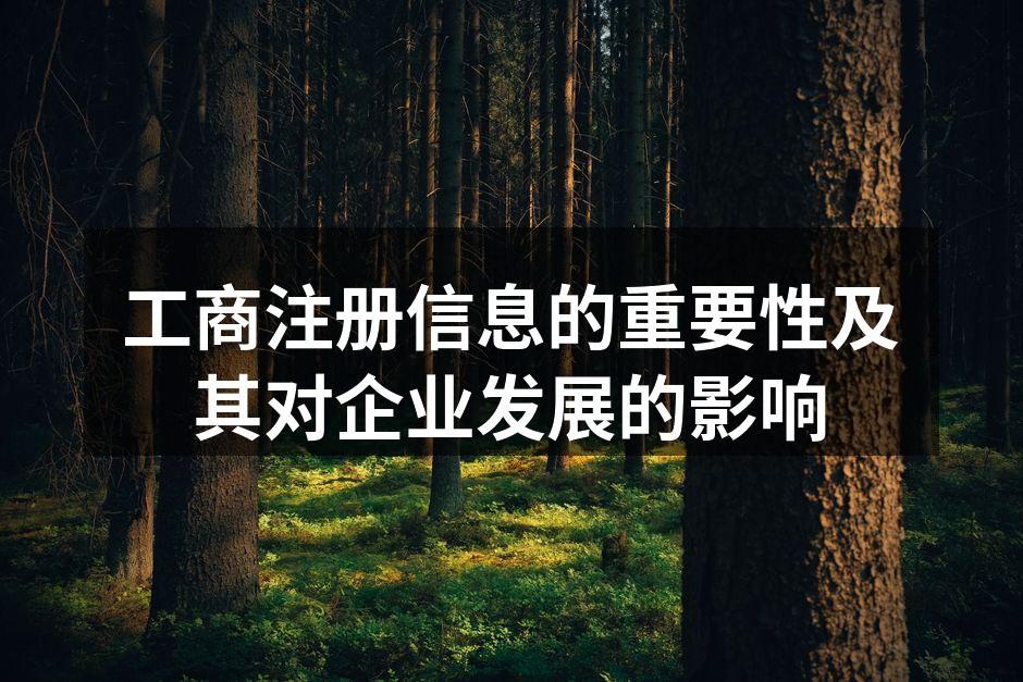 工商注册信息的重要性及其对企业发展的影响
