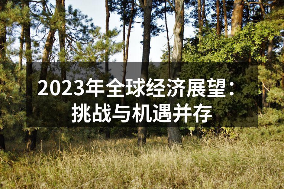 2023年全球经济展望：挑战与机遇并存
