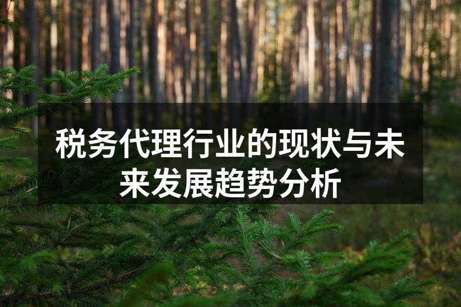 税务代理行业的现状与未来发展趋势分析