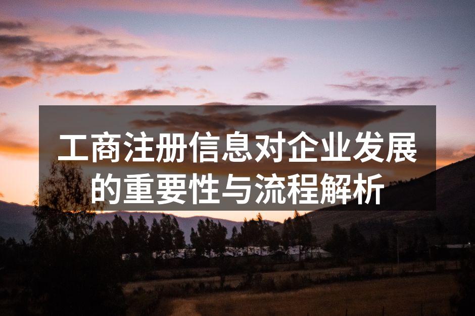 工商注册信息对企业发展的重要性与流程解析