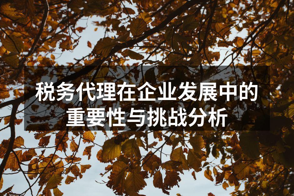 税务代理在企业发展中的重要性与挑战分析
