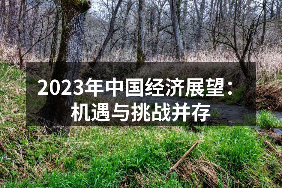2023年中国经济展望：机遇与挑战并存