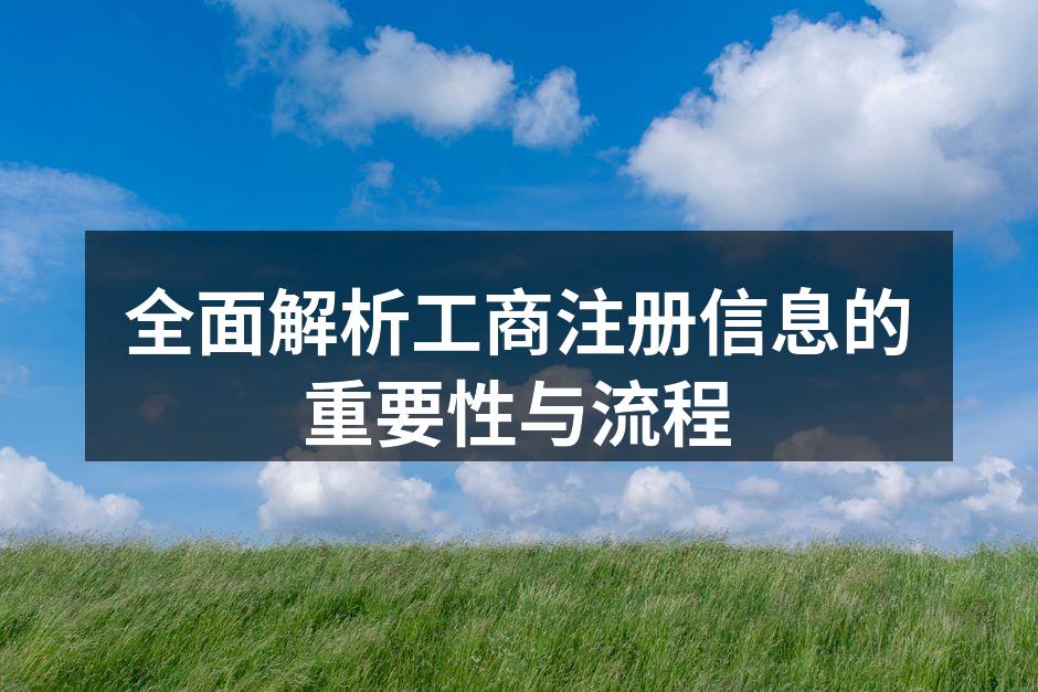 全面解析工商注册信息的重要性与流程