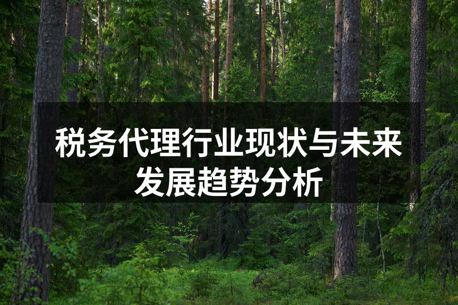税务代理行业现状与未来发展趋势分析