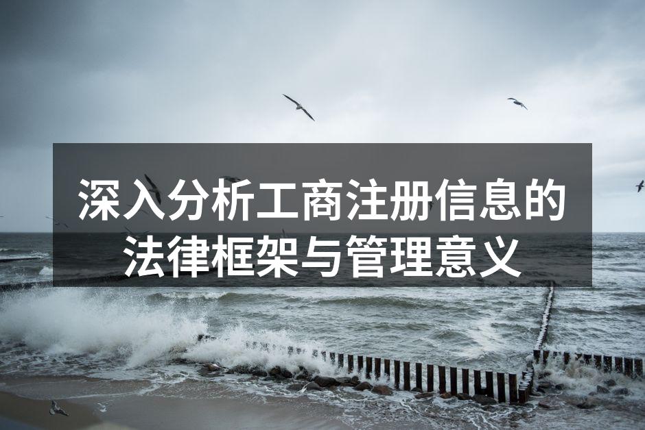 深入分析工商注册信息的法律框架与管理意义