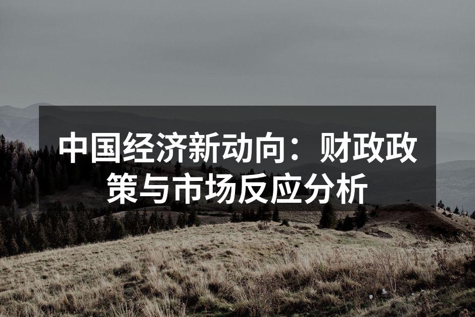 中国经济新动向：财政政策与市场反应分析