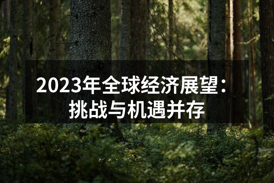 2023年全球经济展望：挑战与机遇并存